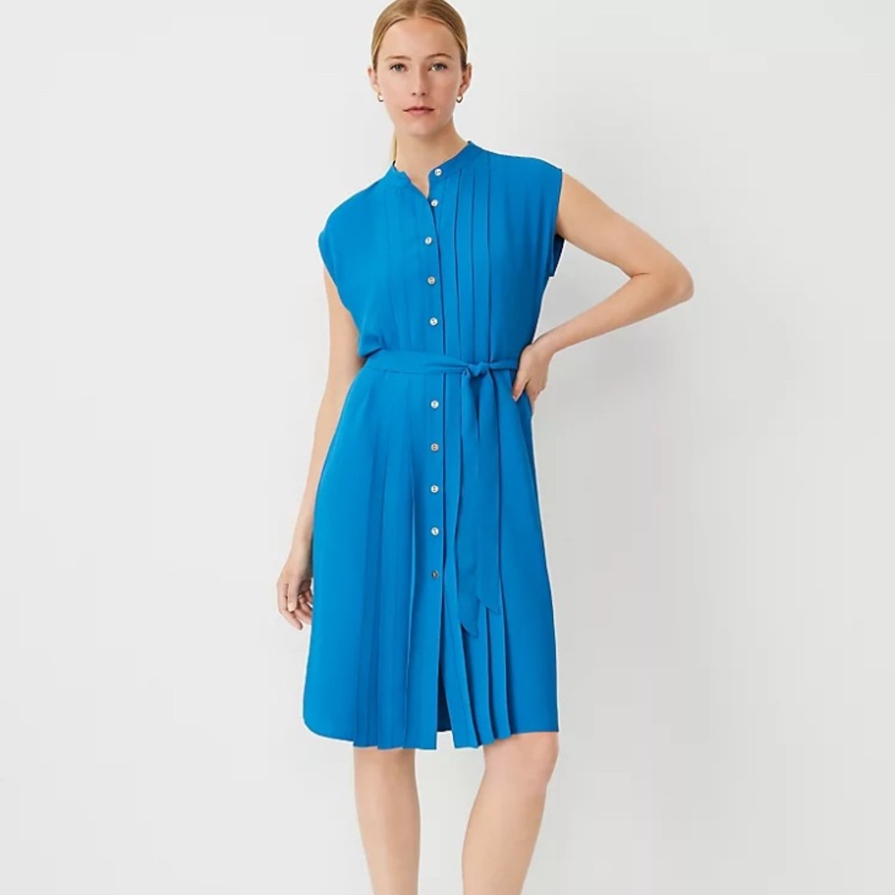 Ann Taylor Silk Georgette Dress